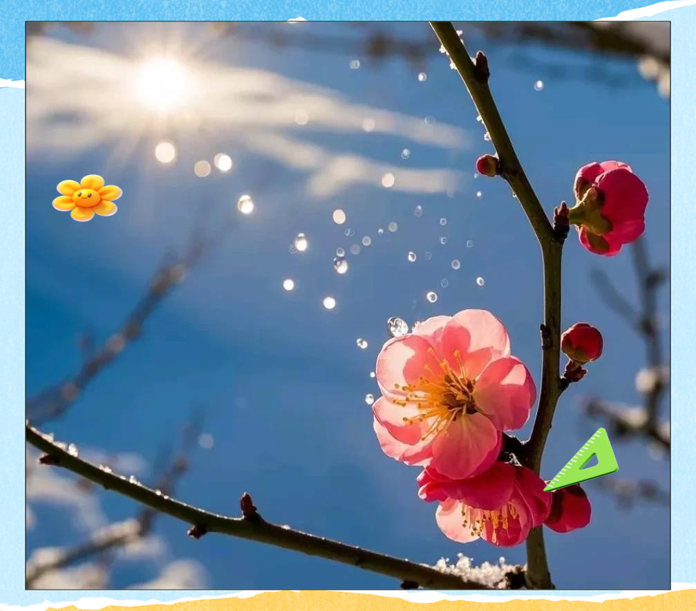 幸运降临!绝境逆转,赢得宝贵三分 幸运降临!绝境逆转,赢得宝贵三分