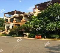 包含深圳佳兆业主场一球小胜上海绿地申花的词条